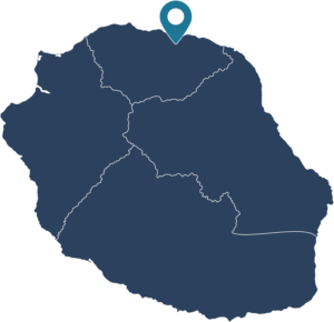 REUNION_MAP_BD-300x290