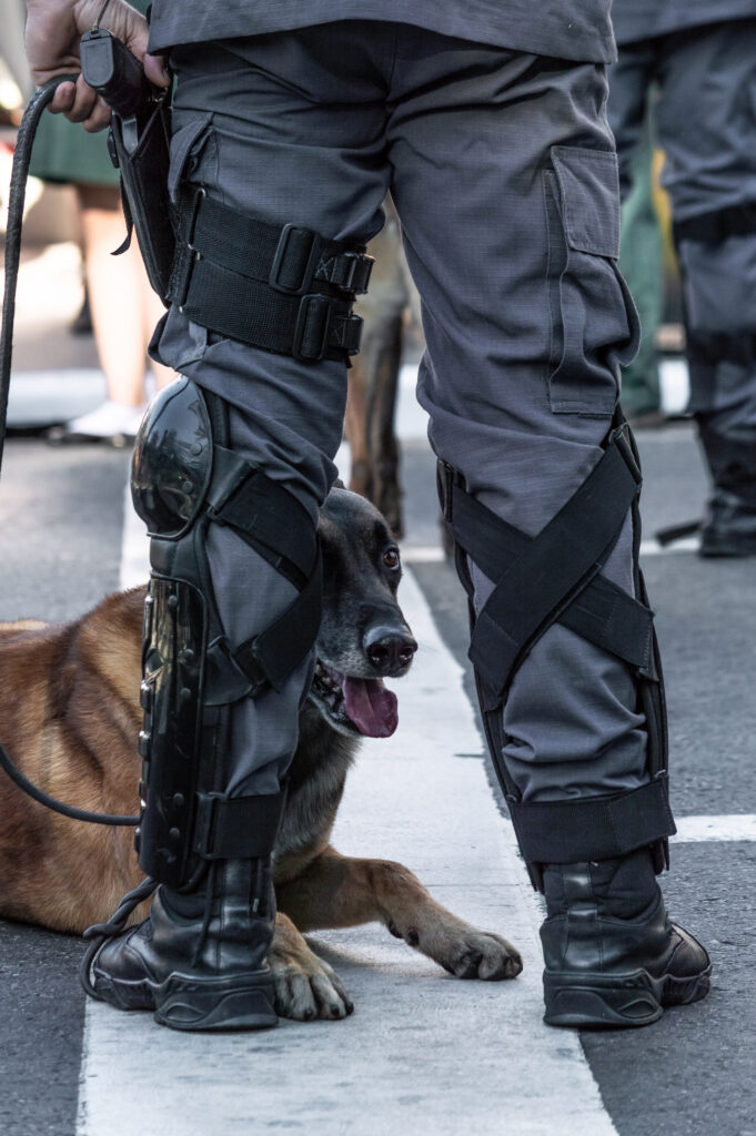 Policeman standing on the street with his dog